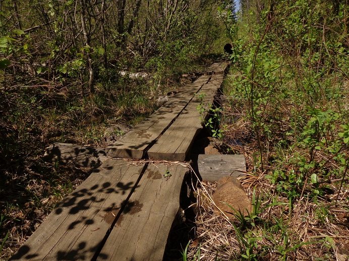 Example boardwalk from a portage